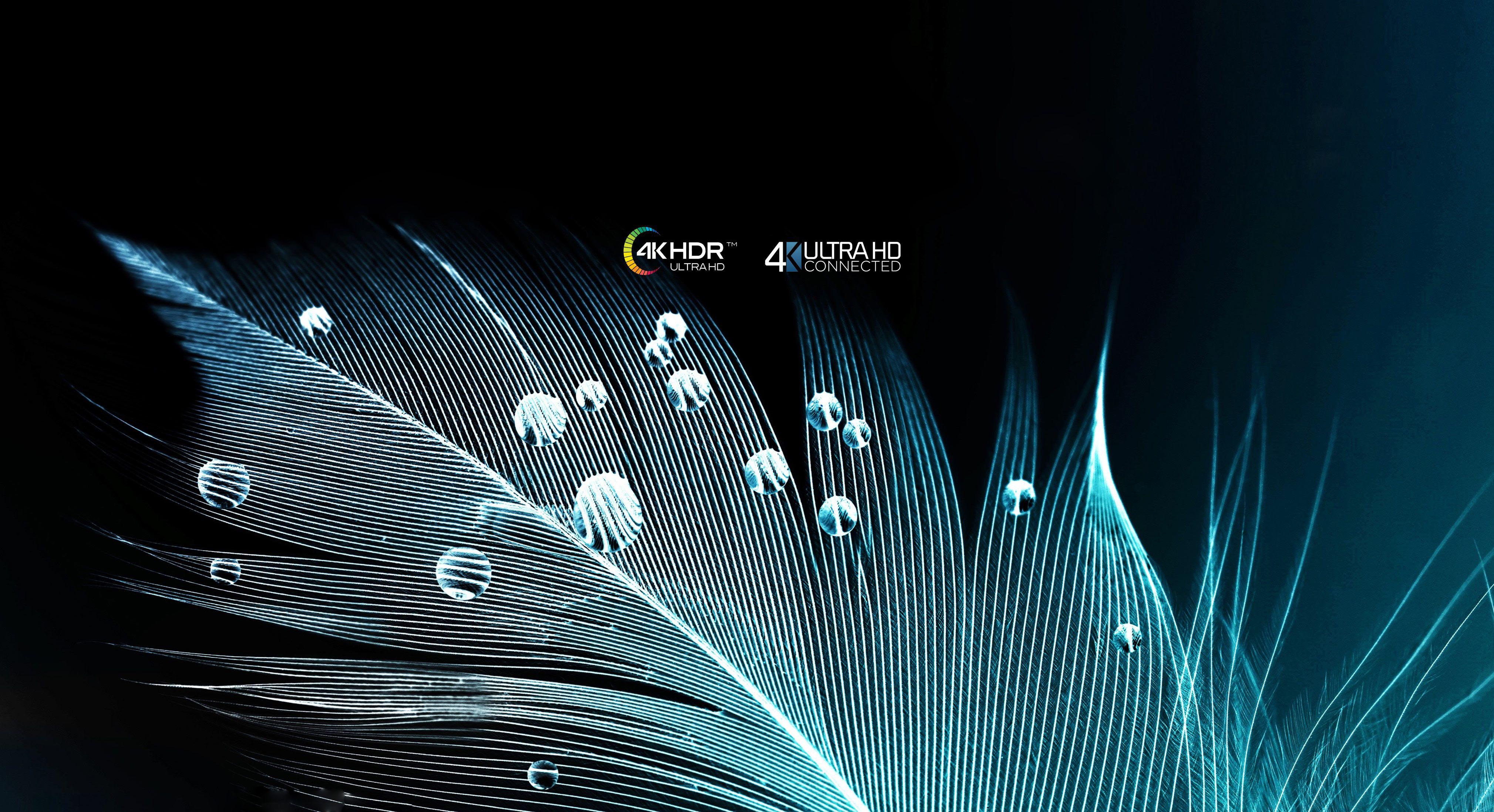 هایسنس 43B7100 با کیفیت تصویر 4K UHD