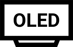 تلویزیون OLED ال جی 55BX