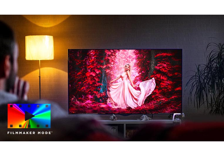 تماشای صحنه واقعی فیلم ها در الجی NANO79 با حالت FilmMaker