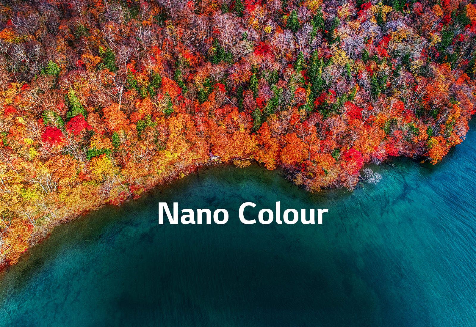 تماشای رنگهای زنده در 55SM8500 الجی با فناوری NanoColor