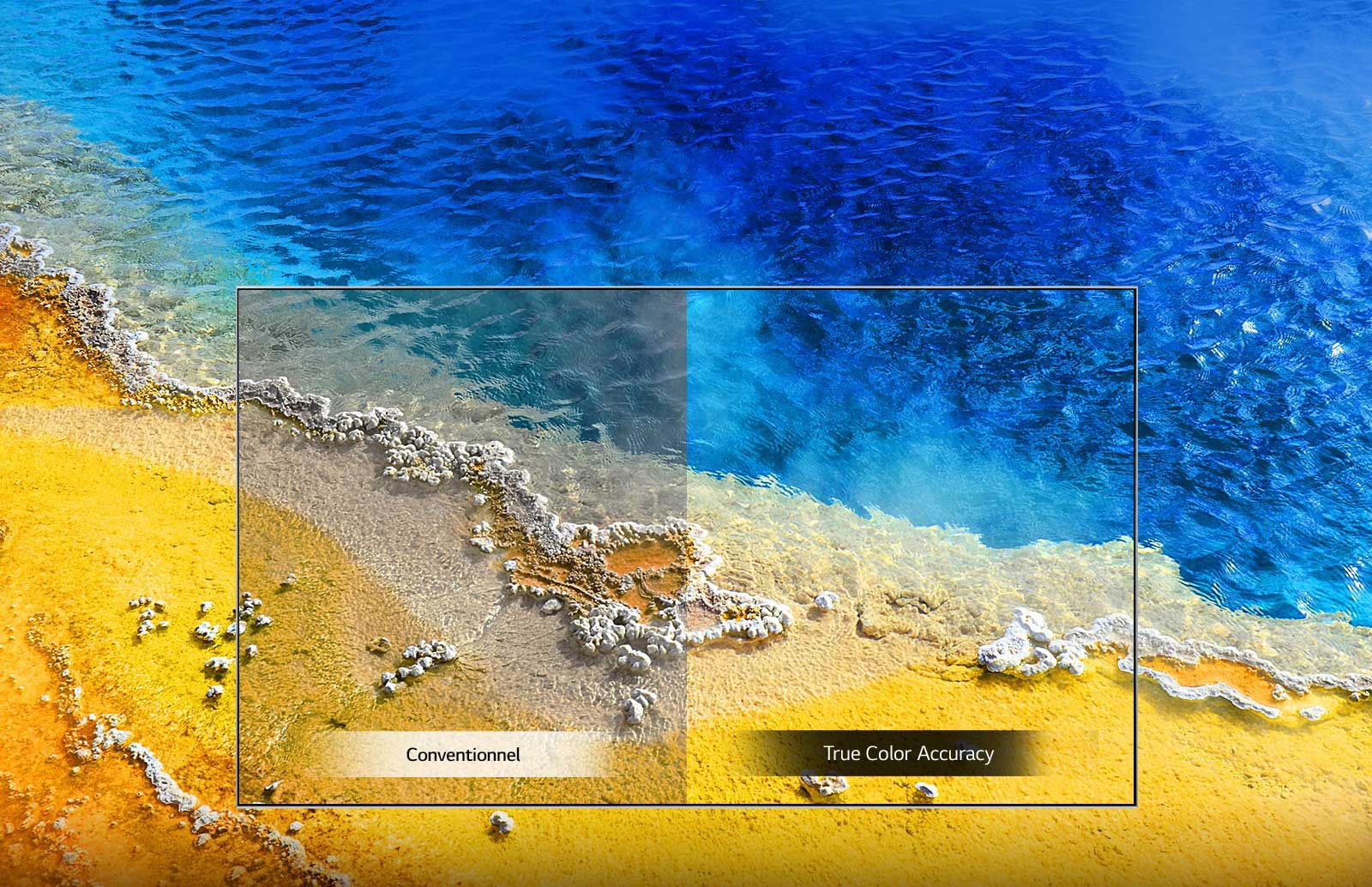 تلویزیون الجی UM7090 دارای تکنولوژی True color accuracy است