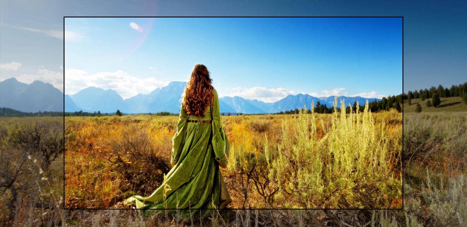 تلویزیون 4K UHD الجی 49UN711 با صفحه نمایش ال ای دی