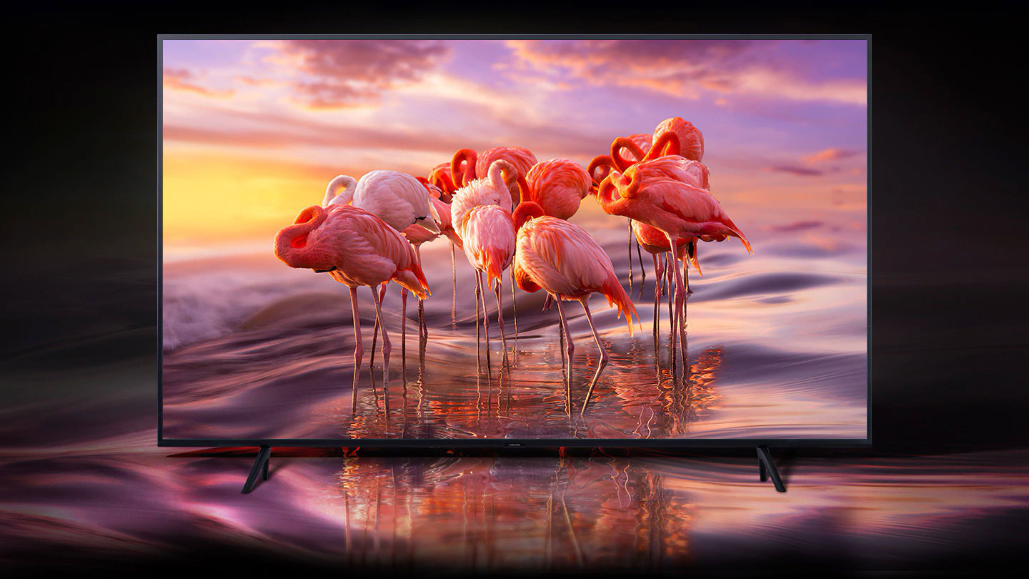 تکنولوژی Quantum Dot در تلویزیون سامسونگ Q60R