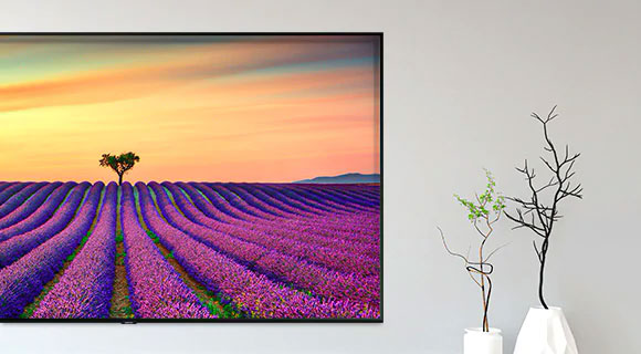نمایش آثار هنری در حالت Ambient روی تلویزیون Q60R