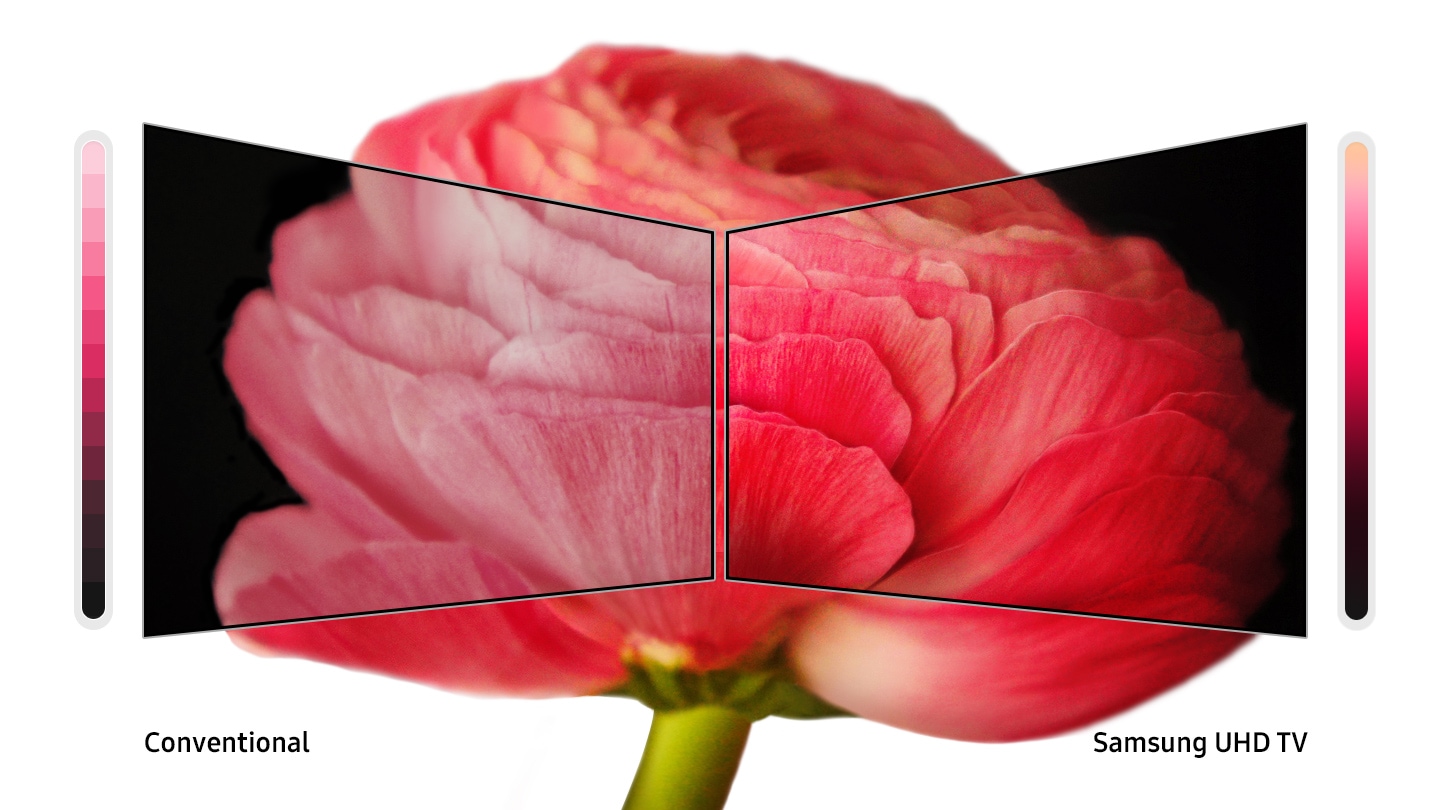 فناوری PurColor و رنگهای زنده در تلویزیون Samsung TU7000