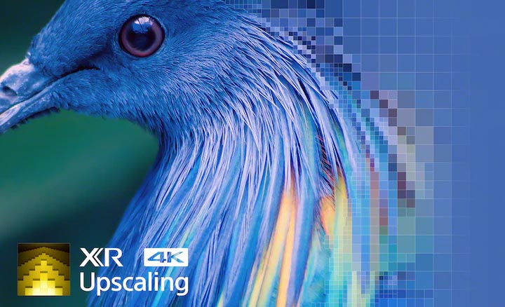 افزایش رزولوشن تصاویر و تبدیل به کیفیت 4K در تلویزیون A80K سونی - دی جی بانه