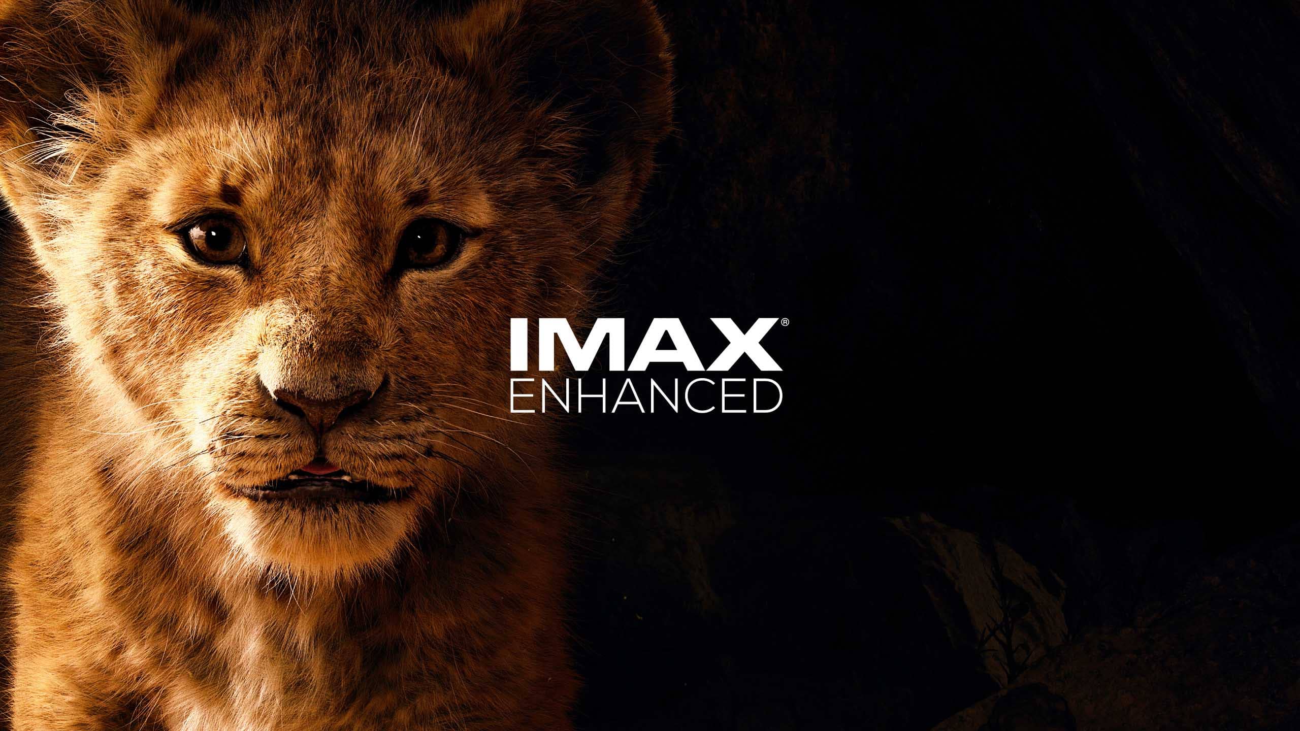تلویزیون اندروید سونی A90J دارای گواهینامه Imax Enhanced